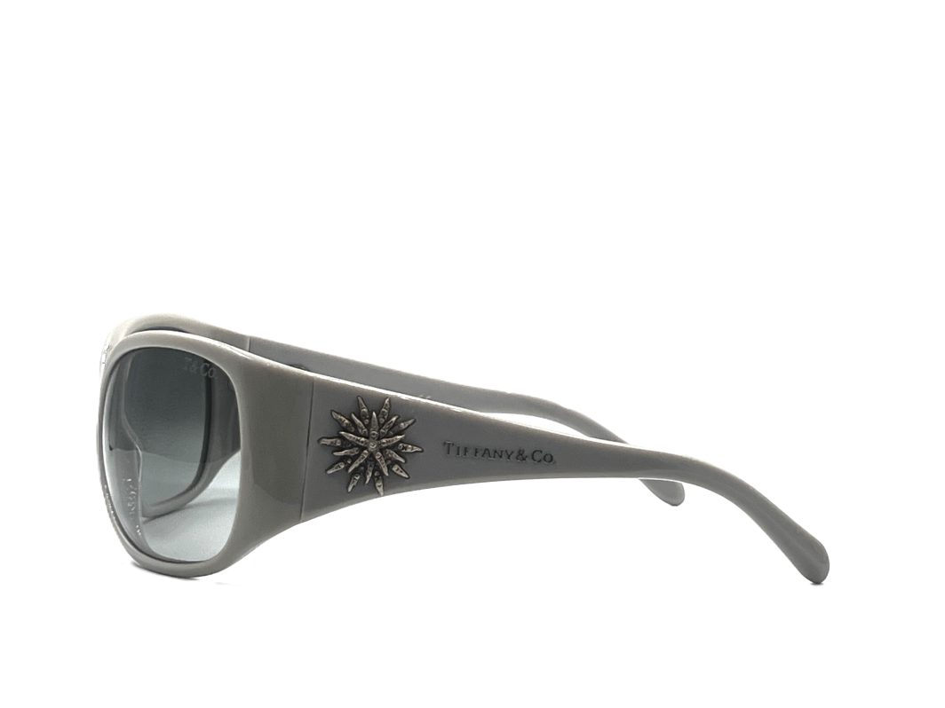 Sunglasses-Tiffany&Co-4005-G-8014-3C