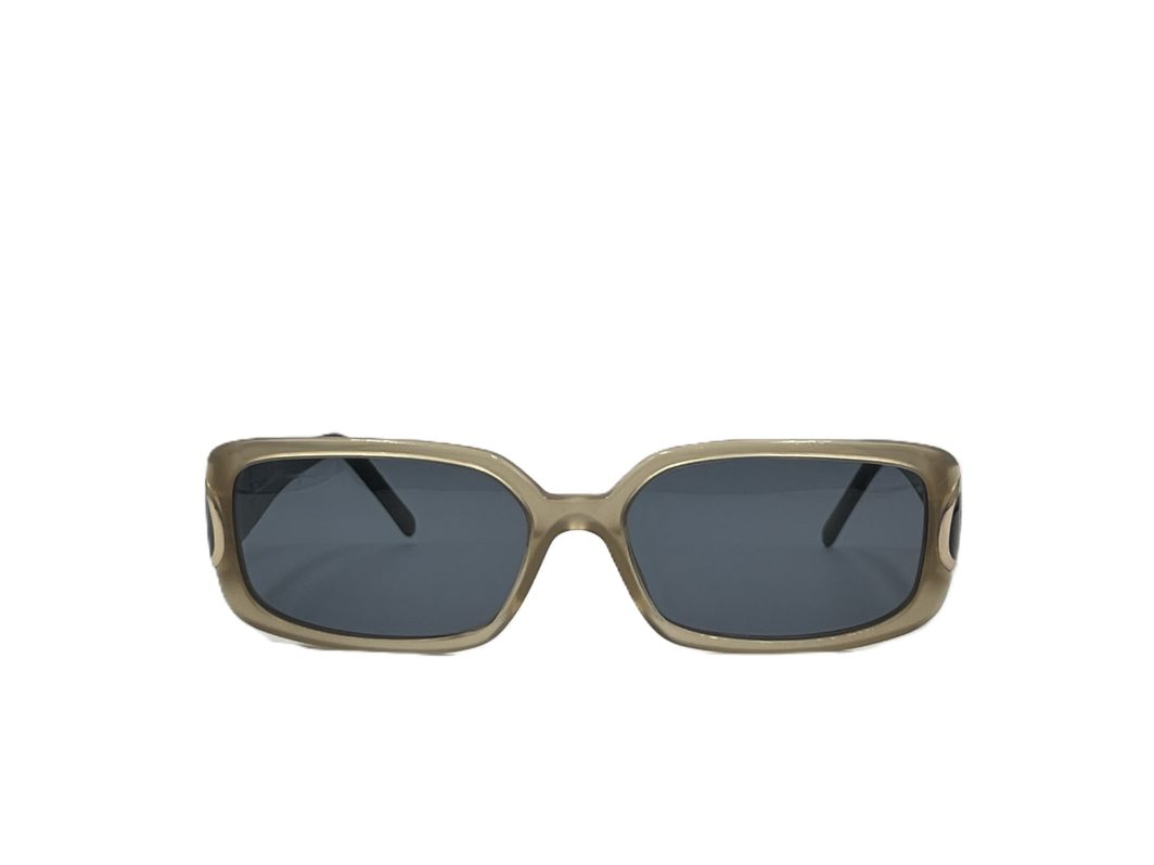 Sunglasses-Ferragamo-2065 406 1