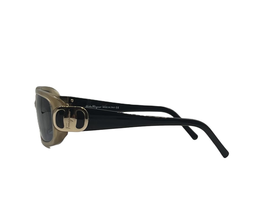 Sunglasses-Ferragamo-2065 406 1