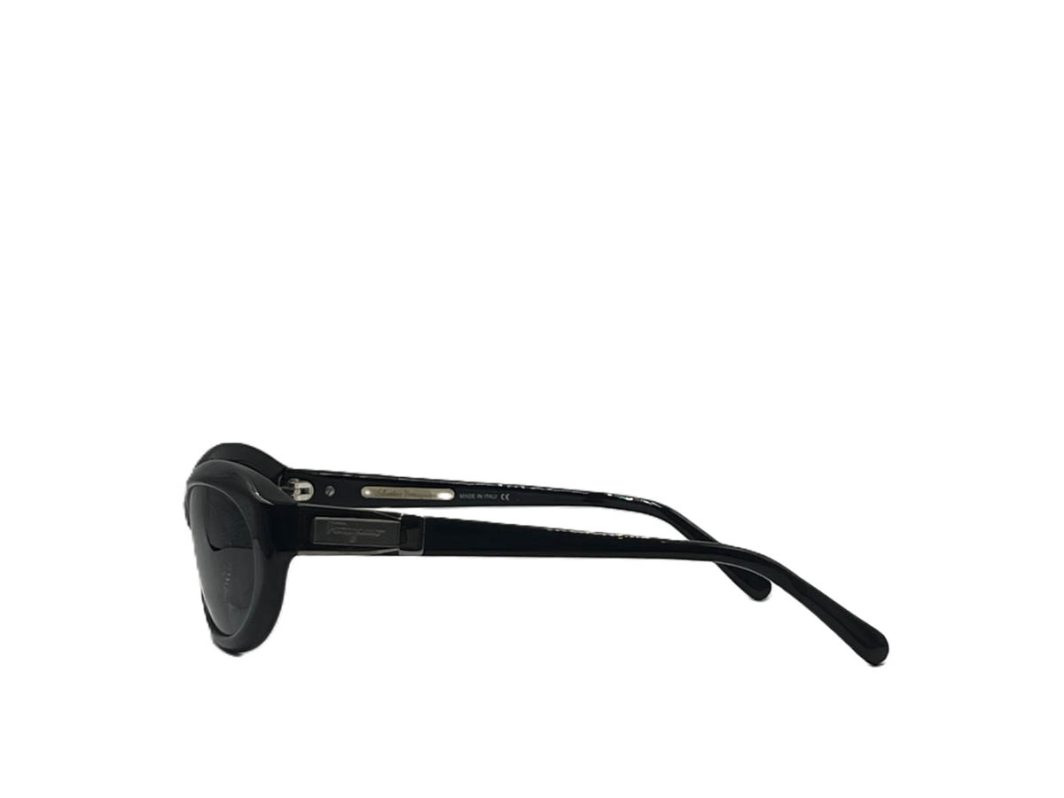 Sunglasses-Ferragamo-2011-101-61