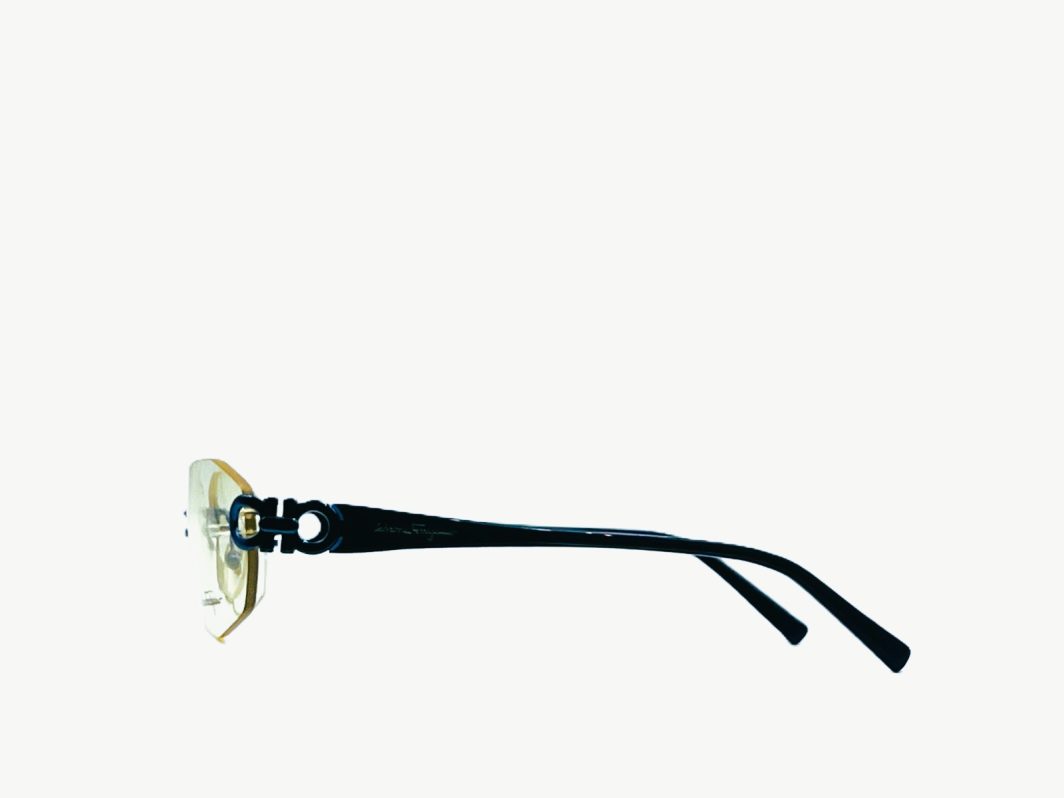 Eyewear-frame-Ferragamo-1555-614