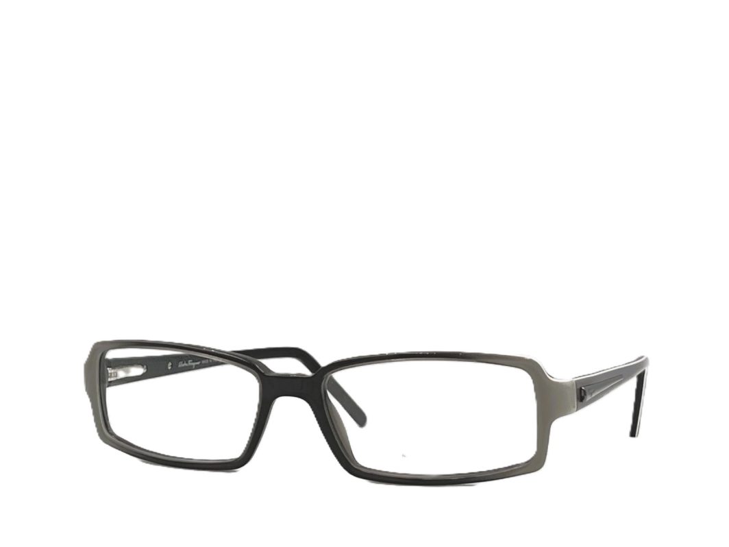 Eyewear-frame-Ferragamo-2585-477