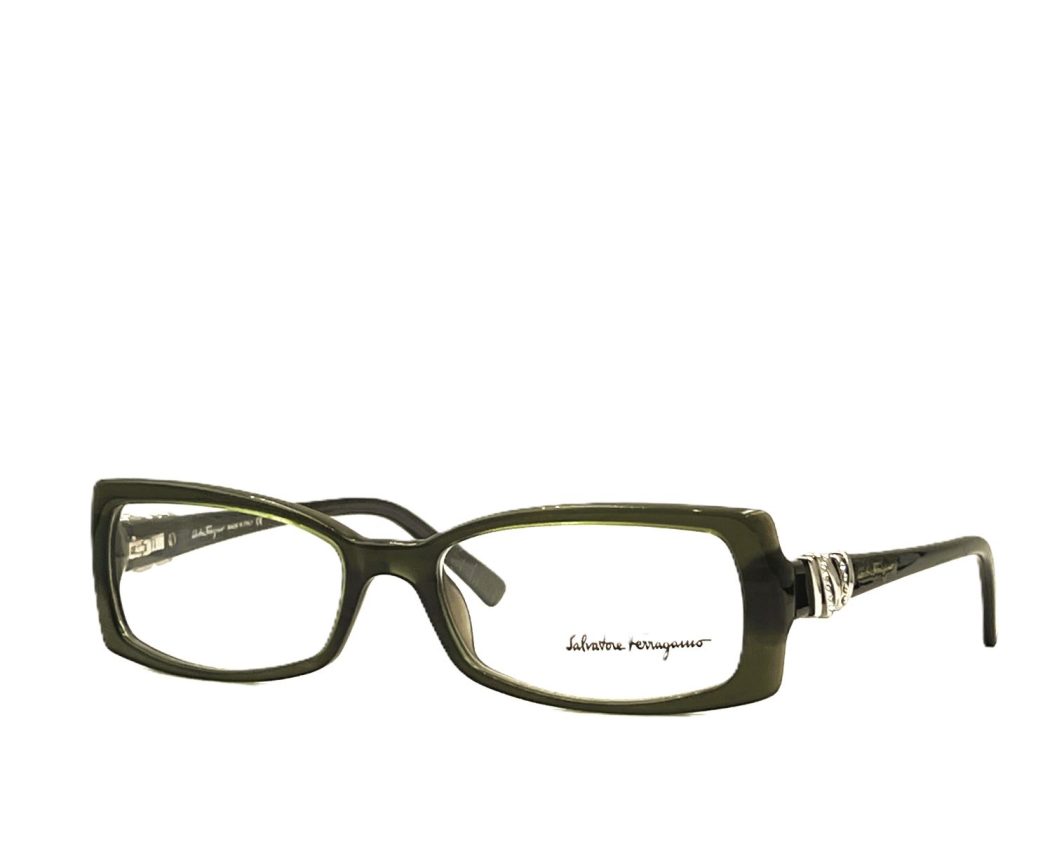 Eyewear-frame-Ferragamo-2599-B-508