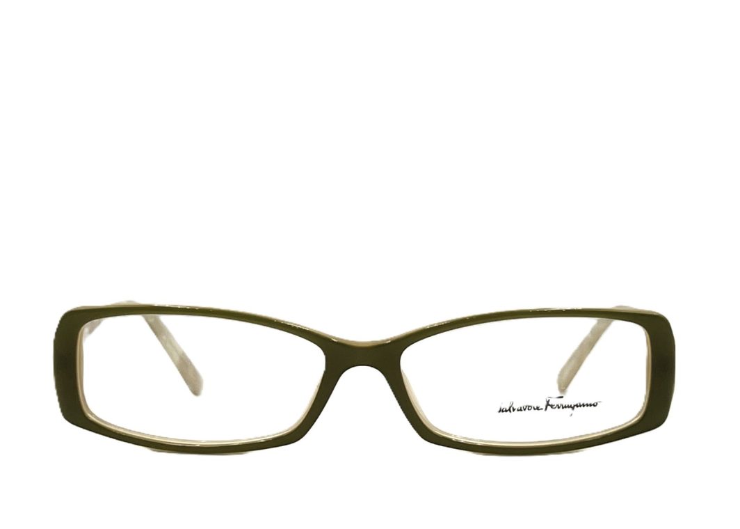 Eyewear-frame-Ferragamo-2615-480