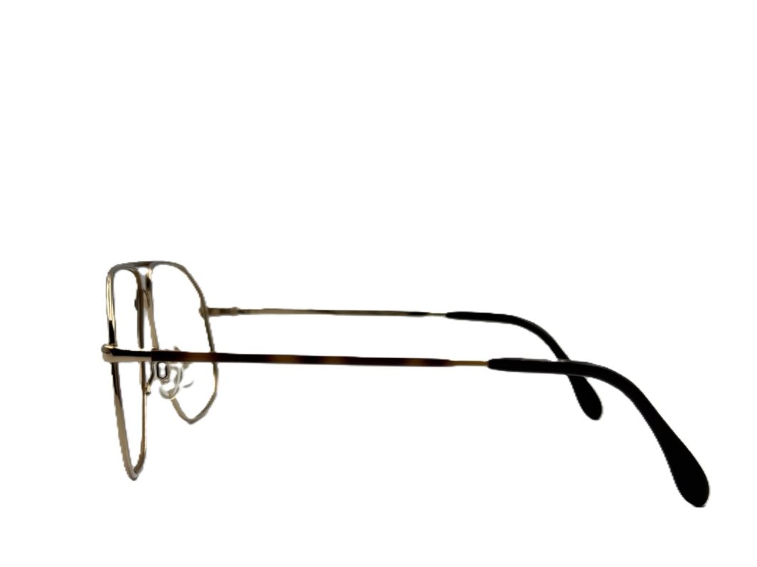 Eyewear Frame Rodenstock Albert 2774