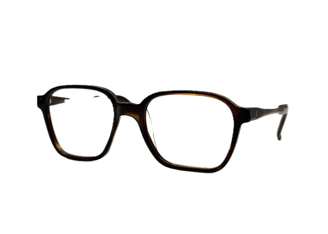 Eyewear Frame Lozza askin 001