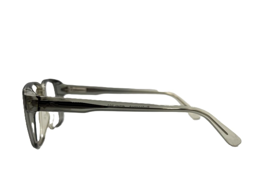 Eyewear Frame Rodenstock 359