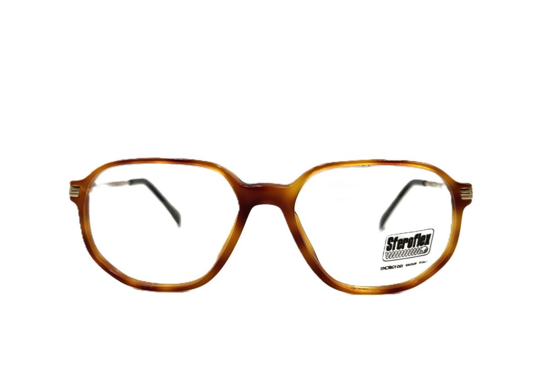 Eyewear Frame Sferoflex 1004