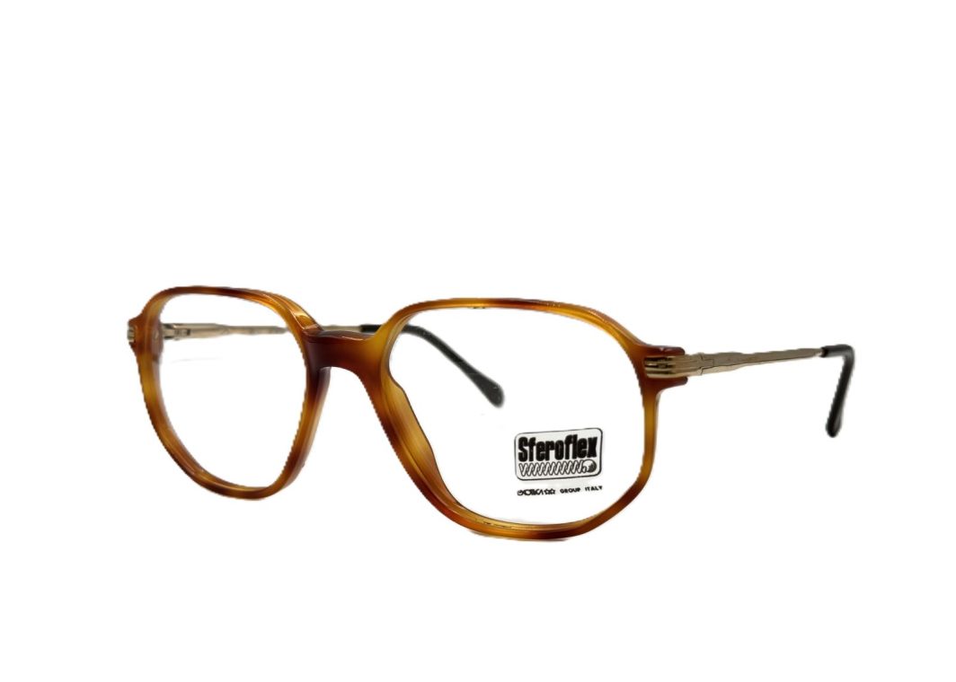 Eyewear Frame Sferoflex 1004