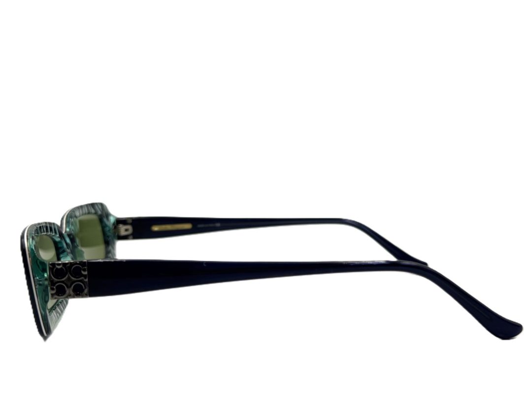 Sunglasses Salvatore Ferragamo 2517 190