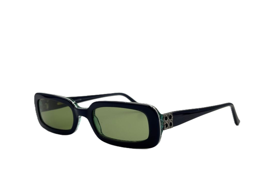 Sunglasses Salvatore Ferragamo 2517 190 